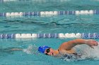 Women's Swimming & Diving  Wheaton College Women’s Swimming & Diving vs Mount Holyoke College. - Photo by Keith Nordstrom : Wheaton, Swimming & Diving